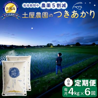 ふるさと納税 佐渡市 【毎月定期便】佐渡島産つきあかり 白米4kg 土屋農園 農家直送 栽培期間中農薬5割減　全6回