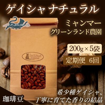 ふるさと納税 福島市 【6回定期便】珈琲豆 ゲイシャナチュラル ミャンマー200g×5袋No.3279