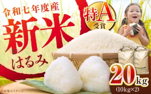 【年内発送】【令和7年産】【特Aランク受賞実績あり！】はるみ 20kg(10kg×2袋)【井上農園】 新米 20kg (10kg×2袋) 令和7年産はるみ コシヒカリ の遺伝子を引き継ぐ こしひかり キヌヒカリ 神奈川県産 精米 開成町 米 ご飯 白米 お米 特A 新米 こだわり 白米 こめ コメ お米 2025年産 おこめ 精米 R7 ご飯 ごはん R7 白飯 ふるさと納税 [BDBB004]