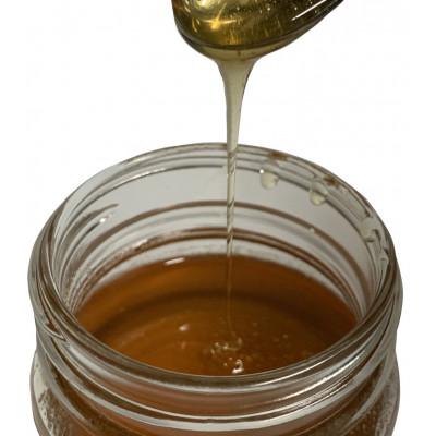 ふるさと納税 四條畷市 日本みつばちが集めた貴重なはちみつ(百花蜜)をお届けします。 |  | 01