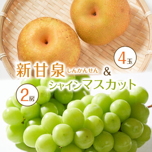 【先行予約】新甘泉4玉とシャインマスカット2房 ※8月下旬～9月中旬頃に順次発送予定 梨 シャインマスカット