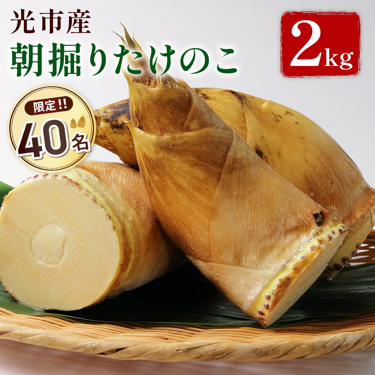 【ふるさと納税】YA01 先行予約 光市産朝掘りたけのこ 2kg [2026年4月上旬から4月中旬にかけて順次発送予定] 山口県光市産 たけのこ 筍 タケノコ 国産 野菜 旬 新鮮 採りたて 煮物 味噌汁 炊き込みご飯