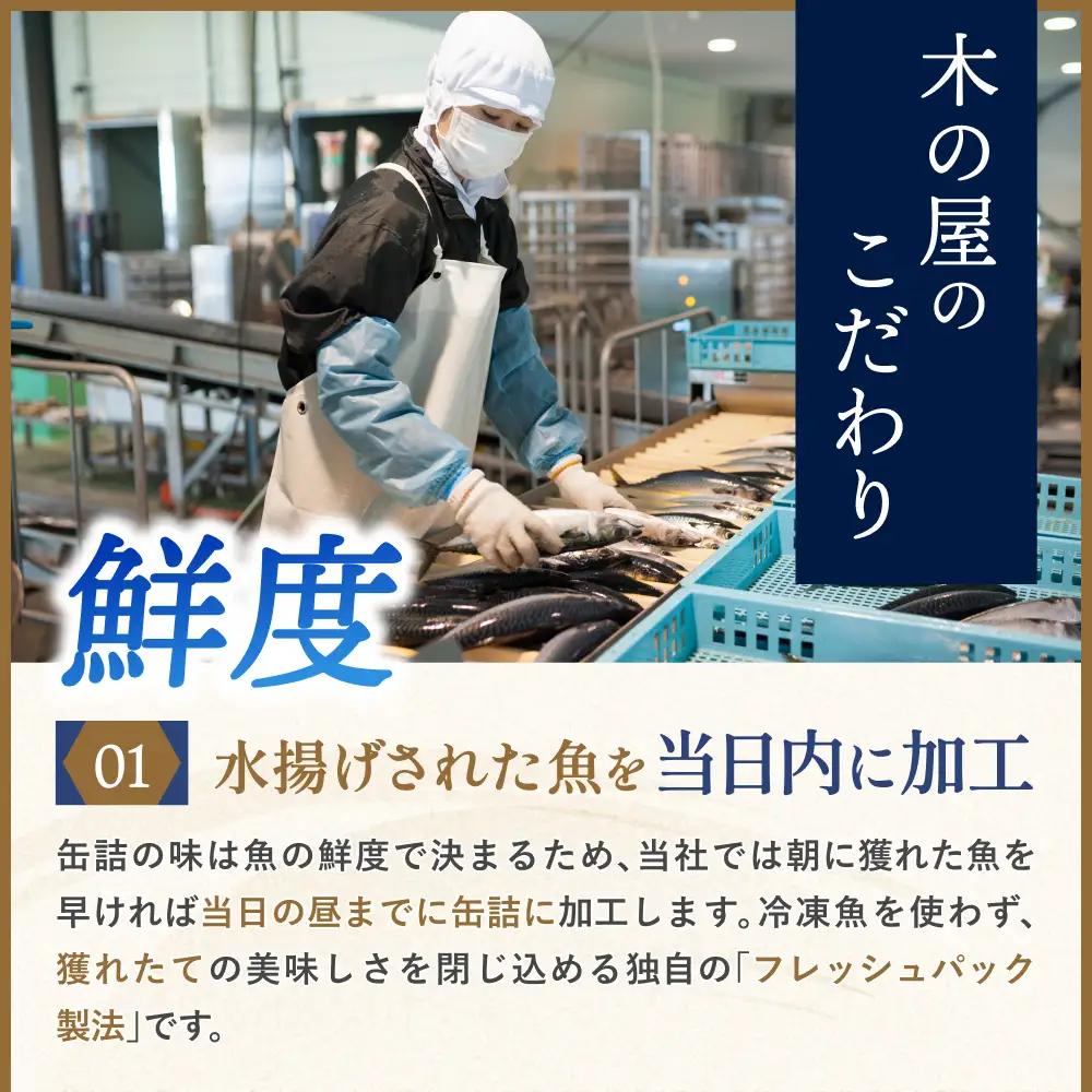 美里町直売所厳選くじら6缶セット【kany009】