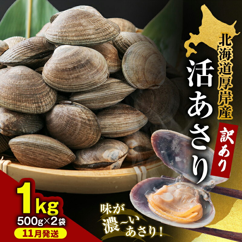 【ふるさと納税】11月発送 北海道 厚岸産 訳あり 活あさり 500g×2 (合計1kg) アサリ 魚貝 海鮮 大粒 美味しい 栄養 旨み 砂出し 水洗い 冷蔵 冷凍保存可能 便利　お届け：2026年11月1日～30日