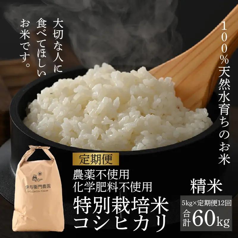 【先行予約】【令和8年産 新米】《定期便12回》伊与衛門農園のコシヒカリ 精米 5kg （計60kg）特別栽培米 化学肥料不使用 ＜温度と湿度を常時管理し新鮮米を出荷！＞／ 高品質 鮮度抜群 福井県あ