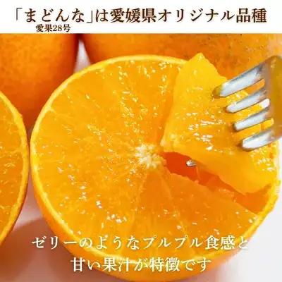 【紅まどんなと同品種】【訳あり】まどんな2kg 愛なんよ