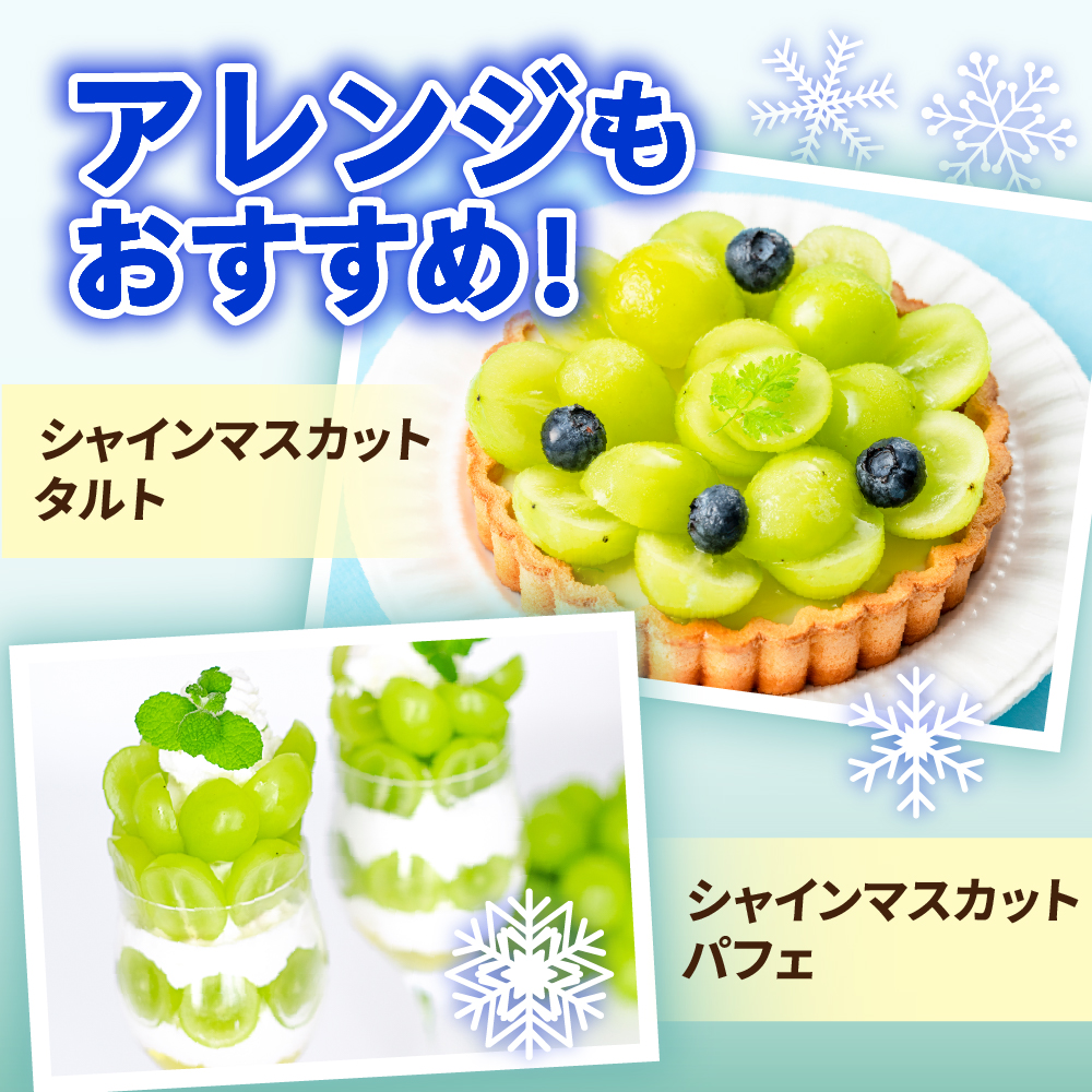 【先行予約】 【数量限定】 令和8年産 大玉 シャインマスカット 1房 700g 2026年9月上旬頃～お届け予定