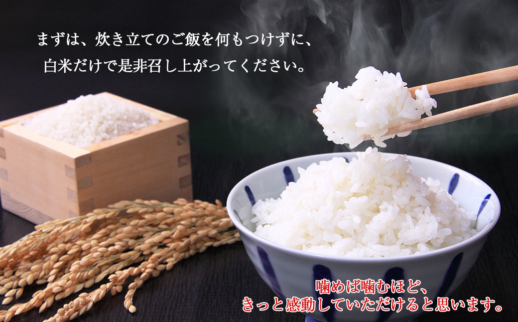 ≪令和7年産≫ ひとめぼれ 無洗米 10kg（5kg x 2個入れ） 【1815】