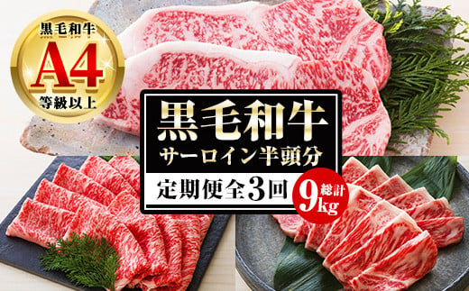 
【3か月定期便】カットを選べる！鹿児島県産 黒毛和牛 サーロイン 半頭分 9kg（3kg×3回) A4等級以上 ！ステーキ カット スライス カット 焼肉 カット から選べます！ 冷凍 国産 鹿児島県産 黒毛和牛すき焼き しゃぶしゃぶ 焼肉 半頭分 定期便【G-003H】
