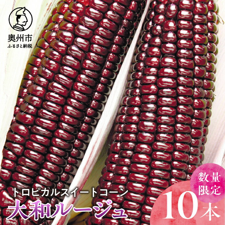 【ふるさと納税】【先行予約】とうもろこし 大和ルージュ10本【数量限定】2025年8月中旬から出荷 離島配送不可 [T0018]