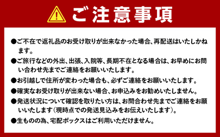 【2027年先行予約】 ウニ 150g×2本 三陸産うに 雲丹 山田町 無添加 ミョウバン不使用