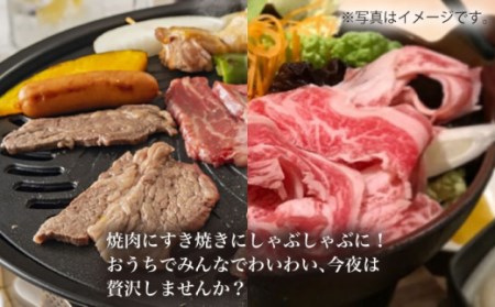 【12回定期便】【訳あり】長崎和牛 ロース食べ比べ 約1000g（焼き肉用、すき焼き・しゃぶしゃぶ用各約500gずつ）×12回定期便＜大西海ファーム＞ [CEK158]