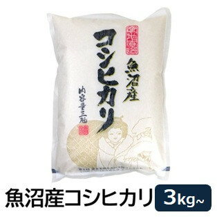 【ふるさと納税】選べる 3～5kg・1回～12回 毎月 隔月 魚沼産コシヒカリ お米マイスター厳選！【令和7年産】 | こしひかり 新潟県 新潟 魚沼 魚沼産 お米 こめ 白米 食品 人気 おすすめ 送料無料 3kg 5kg 3キロ 5キロ