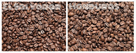 スペシャルティコーヒー 飲み比べセット【ドリップパック】 6種×2（１２個）【 コーヒー 神奈川県 小田原市 】