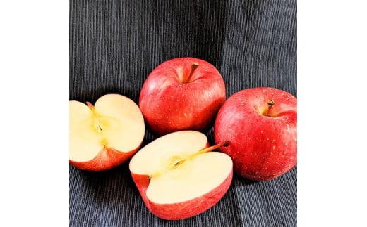 【令和8年産先行受付】 山形県産りんご＜家庭用＞5kg※品種・玉数おまかせ、主にふじりんご等