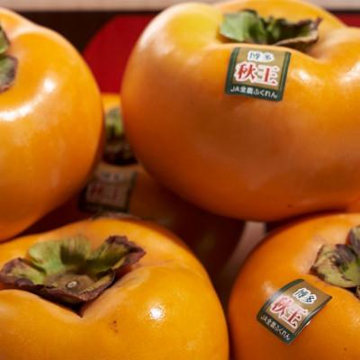 ふるさと納税 桂川町 福岡産ブランド柿・秋王4-6玉(約1.5kg)(桂川町) |  | 01