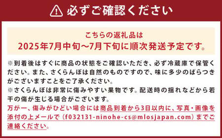 二戸産 さくらんぼ 【紅秀峰】 約500g 【2025年7月中旬発送開始】 ／サクランボ フルーツ 果物 くだもの チェリー