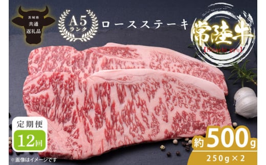 【12回定期便】最高級A4.A5ランク 常陸牛ロースステーキ500ｇ（250ｇ×2）×12回【人気肉 お肉 牛肉 和牛 黒毛和牛 国産黒毛和牛 ロース肉 ステーキ 国産牛 焼肉 焼き肉 バーベキュー BBQ A5 ブランド牛】(CR009)