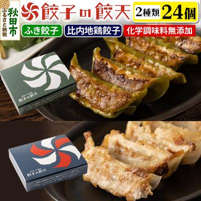 ふるさと納税 秋田市 【比内地鶏餃子・新緑のふき餃子24個詰合せ】餃子の餃天|15_ggt-132401