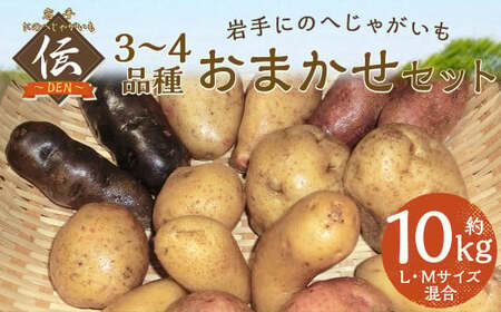 【厳選品】岩手にのへじゃがいも「伝」3～4種 品種おまかせ (L・Mサイズ混合) 10kg 【2026年9月中旬から2027年2月下旬発送予定】／ジャガイモ じゃがいも 芋 イモ ポテト 野菜 お取り寄せ  農家 産地直送 食べ比べ