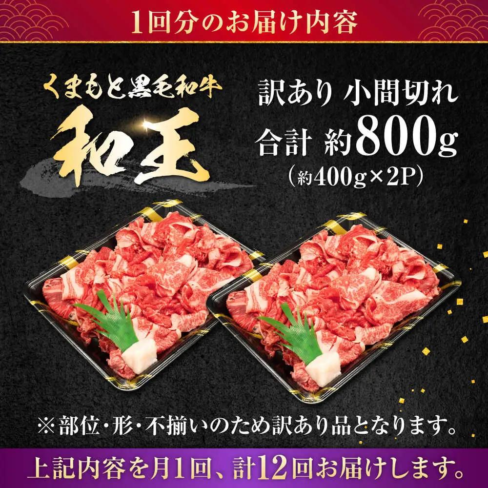 【全12回定期便】【訳あり】熊本県産 A5等級 和王 赤身肉 小間切れ 約400g×2P 計約9.6kg 牛肉小間切れ [AYCH085]