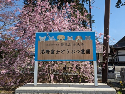 承天寺　忍野富士どうぶつ霊園集合墓