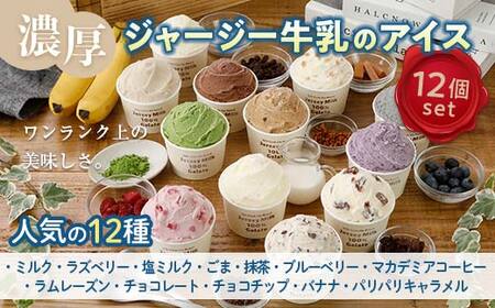 【ジャージー牛乳使用】まきばのジャージーアイス人気の12種12個セット F21C-036
