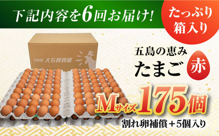 【6回定期便】【箱入り】五島の恵みたまご Mサイズ 175個入 / 卵 赤玉子 五島市 / 五島列島大石養鶏場[PFQ021]  玉子 タマゴ 鶏卵 希少 五島列島