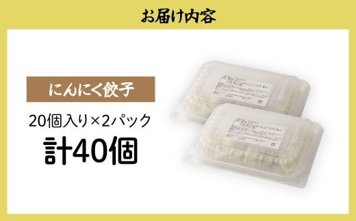 にんにく餃子20個×2箱 餃子 40個 人気店の旨味あふれる冷凍餃子 | 大容量 ギョウザ 冷凍餃子 ギョーザ 冷凍ギョウザ 冷凍 冷凍ぎょうざ ぎょうざ ぎょーざ おいしい 手軽 食べ比べ 美味しい
