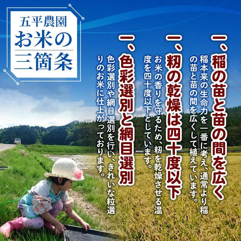 《令和8年産 新米受付》《定期便6ヶ月》【白米】コシヒカリ 5kg 秋田県産 五平農園のコシヒカリ《12月上旬発送予定》