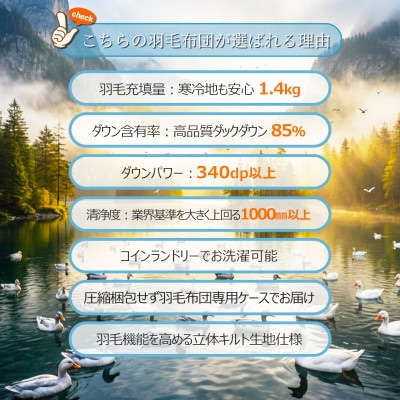 ダウン85%超極暖1.4kg本厚掛け羽毛布団シングル(ピンク系柄お任せ)【筑後七国羽毛ふとん】