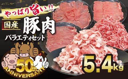  豚肉 バラエティセット 約5.4kg ぶた 国産豚