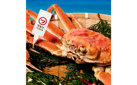 【1月～5月発送】【蟹セレブ】ズワイガニ（紅ズワイガニ）特大2杯（600～700g×2）