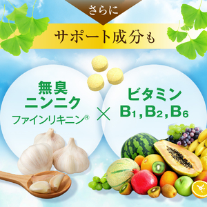 J-65　イチョウの葉エキス粒400粒×３個セット