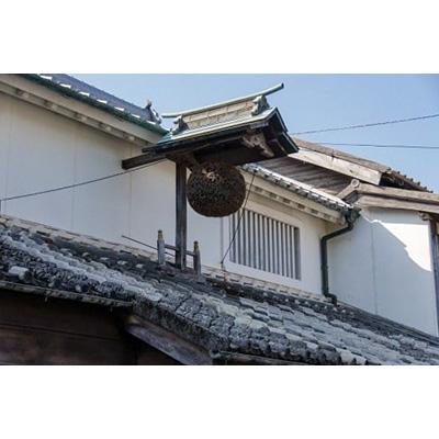 ふるさと納税 島原市 サッカーのまちから贈る サッカーボール型ボトルわかめ焼酎 720ml×1本 |  | 01