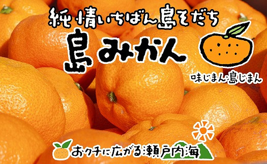 
            【2026年1月上旬から発送予定】希望の島 温州みかん 新品種『ゆたか』 3kg |愛媛 松山 みかん ミカン 温州みかん mikan  果物 フルーツ 柑橘 果実 先行予約 中島産 柑橘 ジューシー 愛媛県 松山市
          