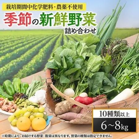 【栽培期間中化学肥料・農薬不使用なので安心・安全】　季節の新鮮野菜の詰め合わせ【配送不可地域：離島】【1117224】