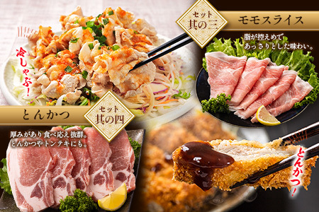 宮崎県産 豚バラエティーセット合計4.1kg※入金翌月中に出荷【C456】