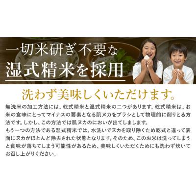 ふるさと納税 南阿蘇村 【隔月6回定期便】阿蘇びより 無洗米 20kg (5kg×4袋)《お申込み翌月から出荷》 |  | 01