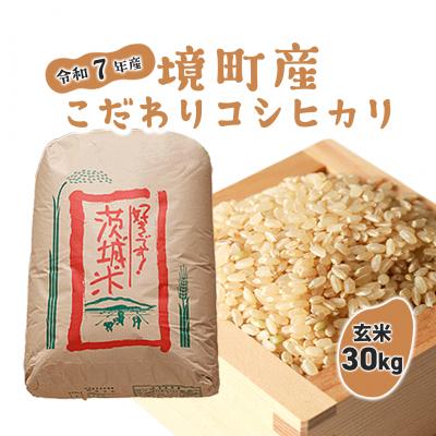 ふるさと納税 境町 米 玄米 コシヒカリ 30kg 令和7年産 国産 茨城県 境町産 大容量 数量限定 こしひかり お米