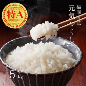 【先行予約】【令和7年産】元気つくし 白米 5kg [BGAA090] 新米 新米 新米 新米 新米