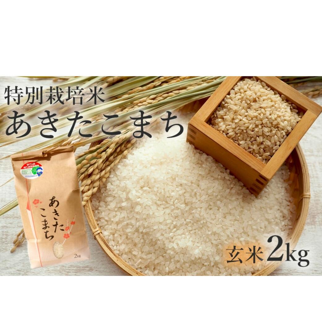 玄米 あきたこまち 2kg 令和7年産 米 こめ お米 おこめ 令和7年 特別栽培米 産地直送 ご飯 ごはん 秋田こまち 秋田 秋田県 能代市 特別栽培 減農薬