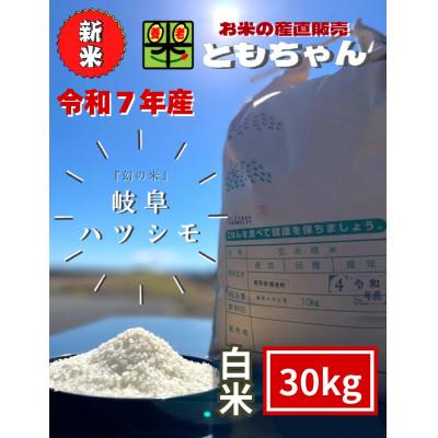 ふるさと納税 養老町 令和7年産　岐阜ハツシモSL　白米　30kg