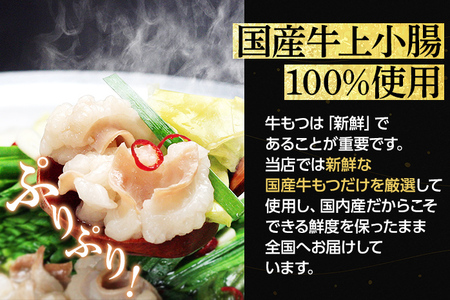 博多もつ鍋セット（九州醤油仕立て）国産牛もつ 600g 4～6人前 お取り寄せグルメ お取り寄せ 福岡 お土産 九州 福岡土産 取り寄せ グルメ 福岡県