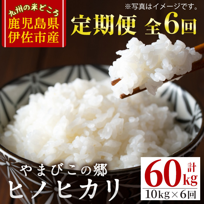 J0-02 【定期便6回】特別栽培ヒノヒカリ(計60kg・毎月10kg×6ヶ月) 白米 精米 ひのひかり 鹿児島 お米 米 伊佐米【やまびこの郷】