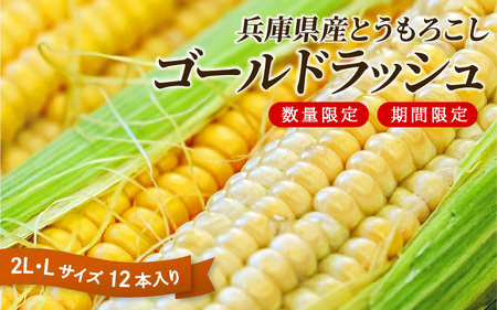 【先行予約】 【数量限定】 とうもろこし 【2025年8月上旬から下旬にかけて順次発送予定】 兵庫県産 ゴールドラッシュ 12本入 2L 5kg