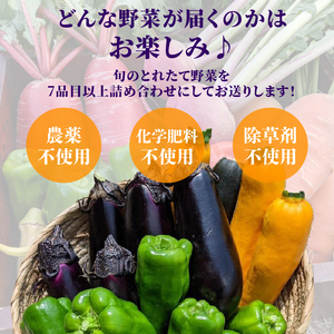 【先行予約】【定期便】旬のお野菜セット 詰め合わせ 3ヶ月定期便（7～10品目） 定期便 3か月 3回 旬 野菜 国産 こだわり 京都府産 京丹波町産 季節 セット 有機肥料 化学農薬不使用 化学肥料