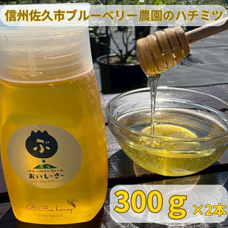 【ふるさと納税】長野県産ハチミツ 600g（純粋・非加熱・天然100%） 信州 佐久市 無添加 国産 アカシア 蜂蜜 ハニー パン ヨーグルト 希少 ブルーベリー