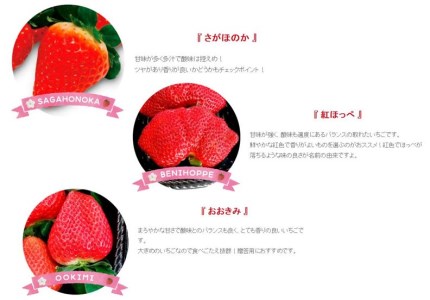 【期間限定発送】 果物 完熟いちご 食べ比べセット 350g～400g×2 [亀の子いちご園 宮崎県 日向市 452060852]