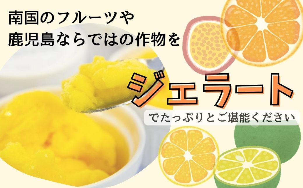 ＜先行予約受付中！2025年5月より準備が整い次第順次発送予定＞ 南のくだもの王国 南のFRUIT＆CROPS ジェラート セット (9種 9個入り)